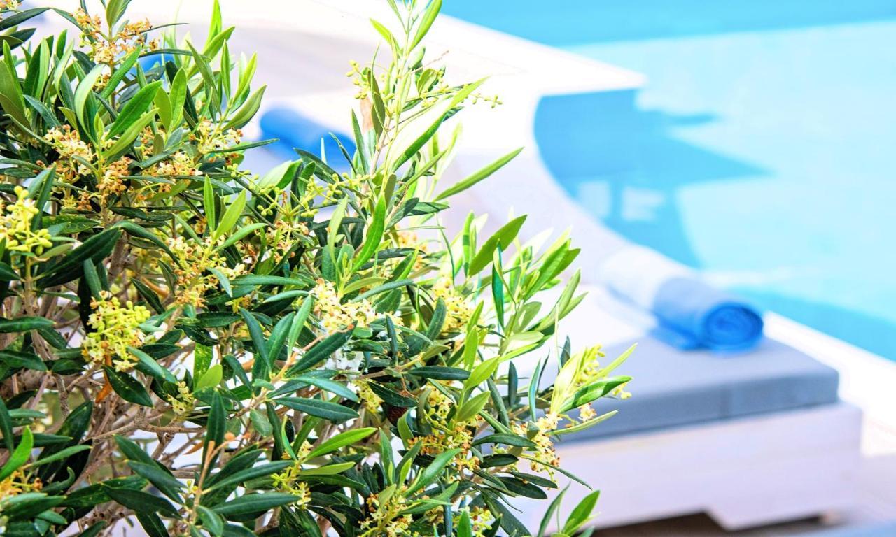 Garden Heated Pool